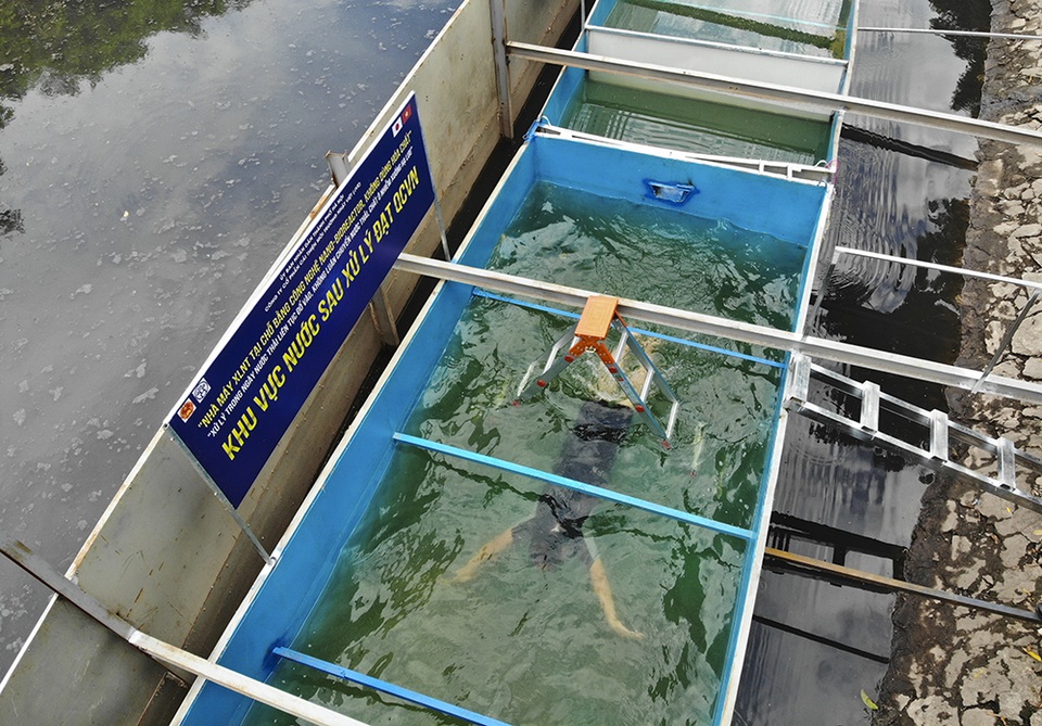 Xem chuyên gia Nhật Bản rửa mặt, tắm bằng nước sông Tô Lịch - 3 Xem chuyên gia Nhật Bản rửa mặt, tắm bằng nước sông Tô Lịch - 3