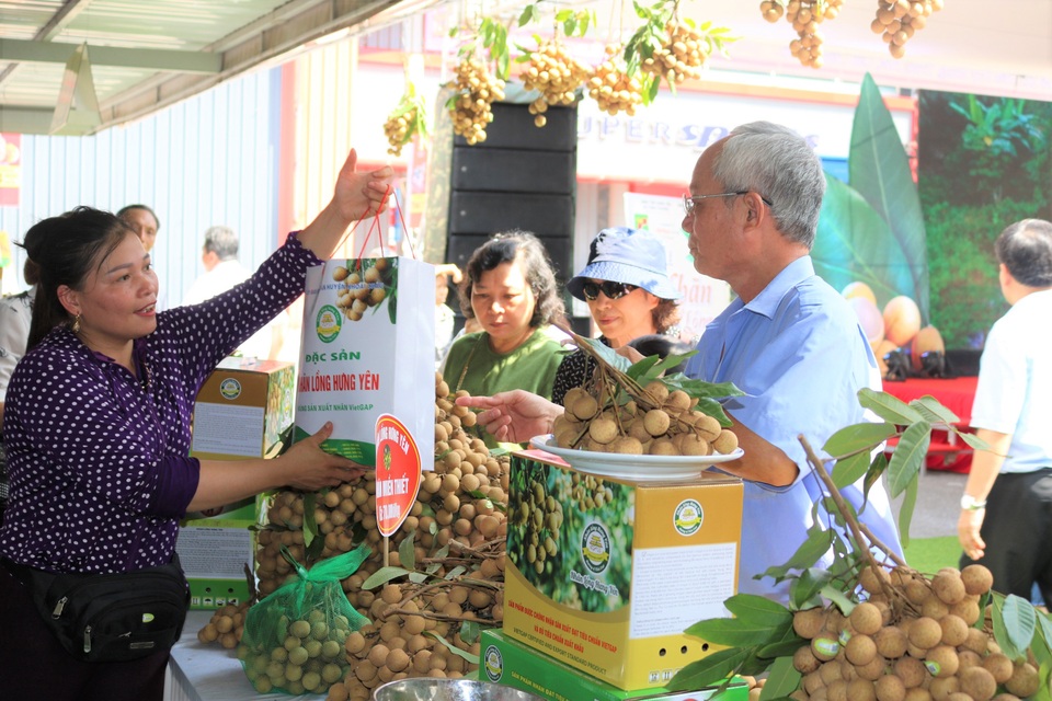 140 nghìn đồng/kg nhãn cổ đường phèn, dân Hà Nội vẫn xếp hàng tranh mua - 4 140 nghìn đồng/kg nhãn cổ đường phèn, dân Hà Nội vẫn xếp hàng tranh mua - 4