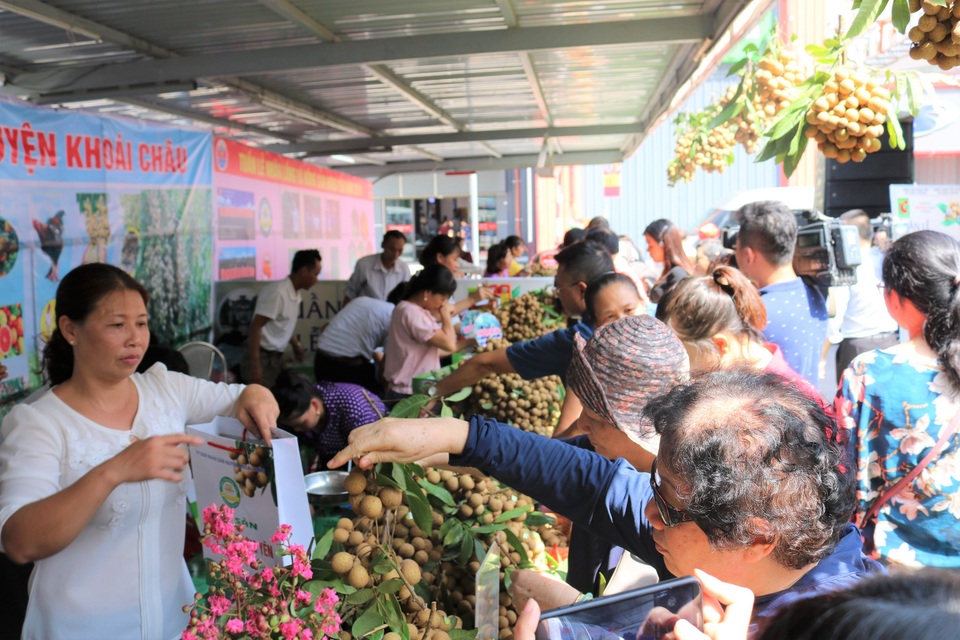 140 nghìn đồng/kg nhãn cổ đường phèn, dân Hà Nội vẫn xếp hàng tranh mua - 1 140 nghìn đồng/kg nhãn cổ đường phèn, dân Hà Nội vẫn xếp hàng tranh mua - 1
