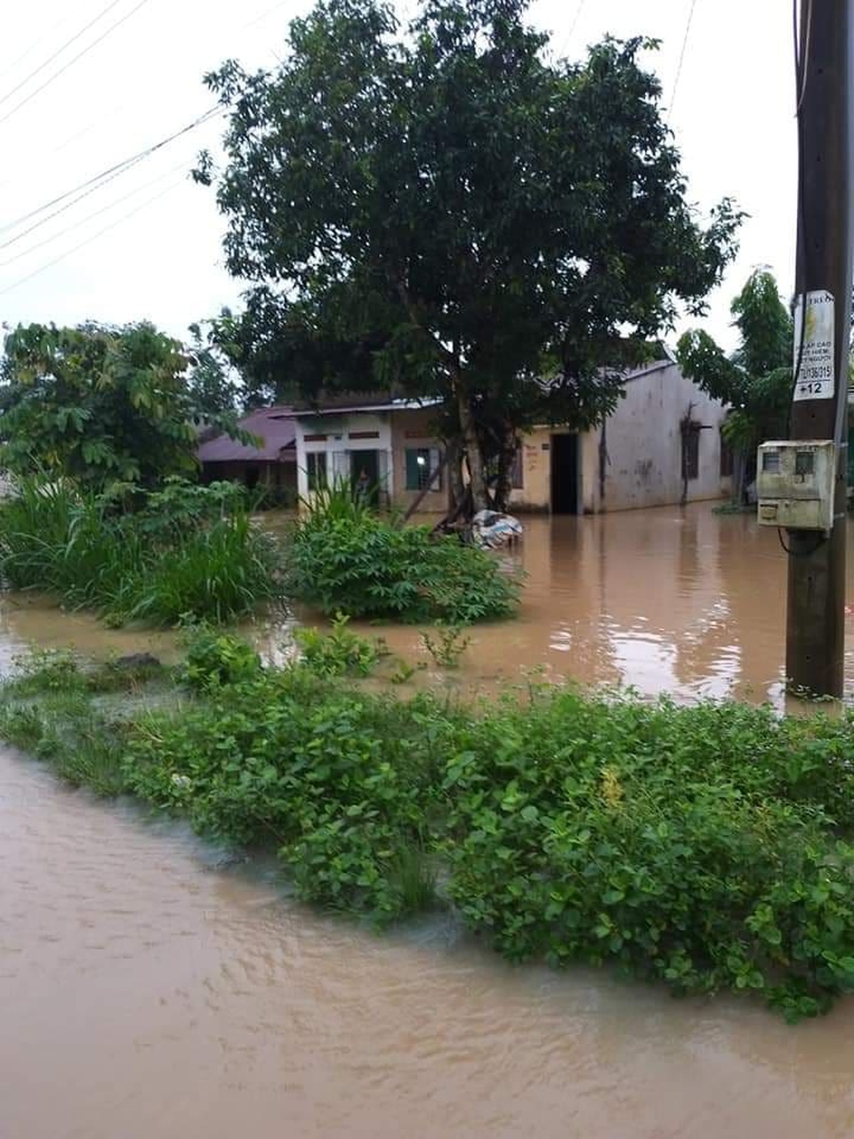 Nước lũ dâng cao, 1 người mất tích, hơn 700 hộ dân sơ tán - 1