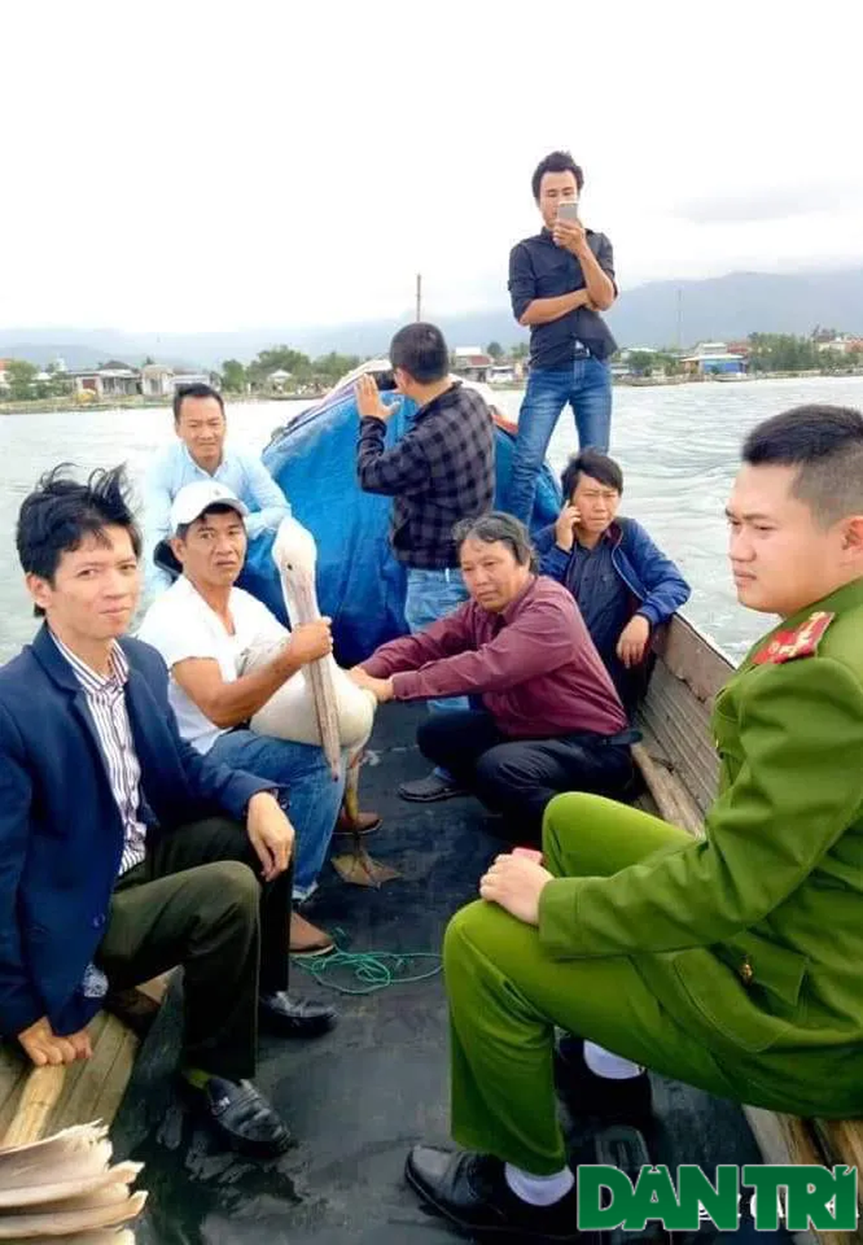 Thả nhiều động vật hoang dã quý hiếm về tự nhiên - 4 Thả nhiều động vật hoang dã quý hiếm về tự nhiên - 4