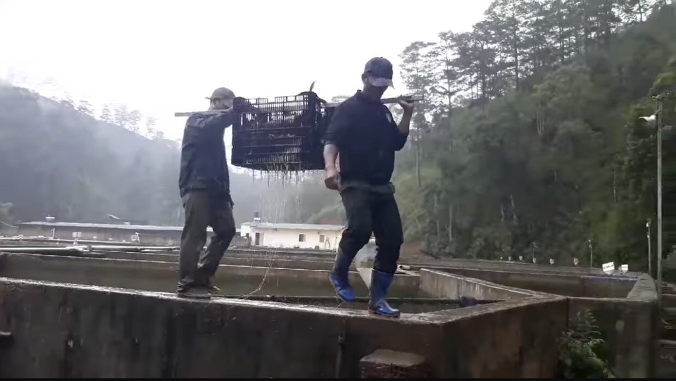 Xót xa hàng trăm tấn cá tầm trôi theo dòng nước lũ - 4 Xót xa hàng trăm tấn cá tầm trôi theo dòng nước lũ - 4