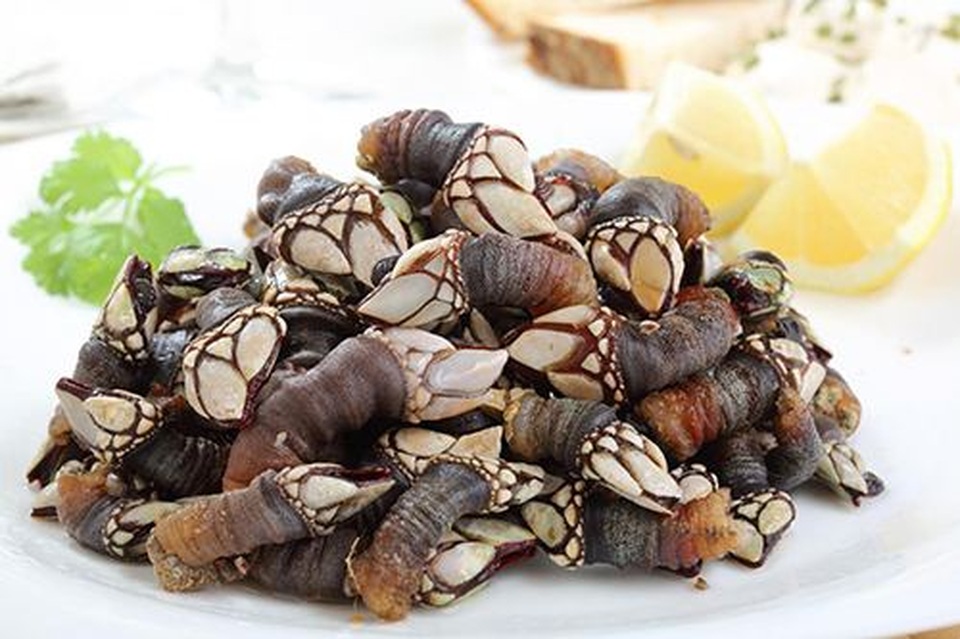 Hãi hùng đặc sản “ngón tay của quỷ” - 4 Hãi hùng đặc sản “ngón tay của quỷ” - 4