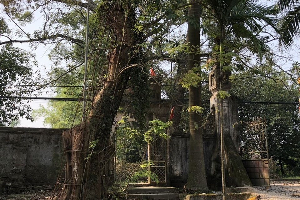 Thông tin mới nhất về phiên đấu giá gỗ sưa trăm tỉ ở Hà Nội - 1 Thông tin mới nhất về phiên đấu giá gỗ sưa trăm tỉ ở Hà Nội - 1