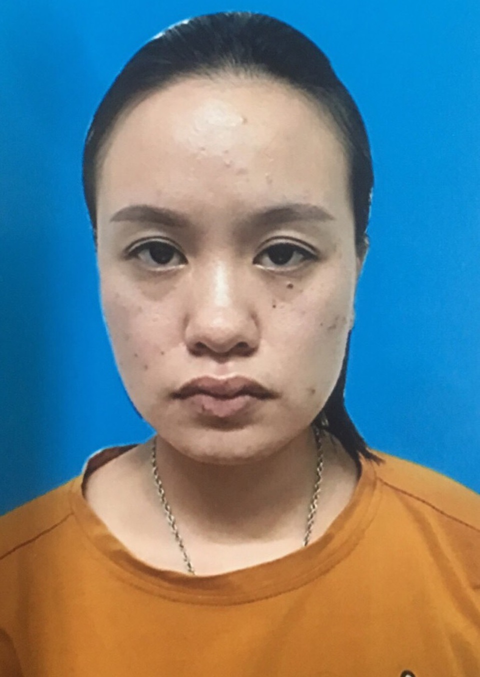 Bắt 2 đối tượng nghi tổ chức đường dây mang thai hộ - 2 Bắt 2 đối tượng nghi tổ chức đường dây mang thai hộ - 2