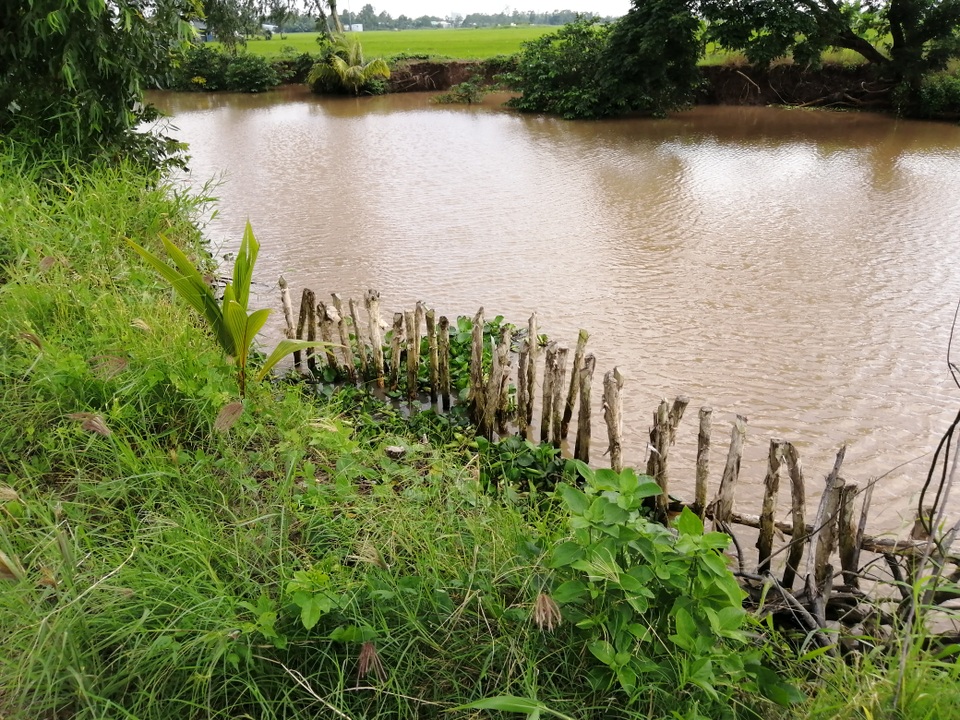 Sạt lở ở Bạc Liêu: “Tan nát” bờ kênh quê! - 18 Sạt lở ở Bạc Liêu: “Tan nát” bờ kênh quê! - 18