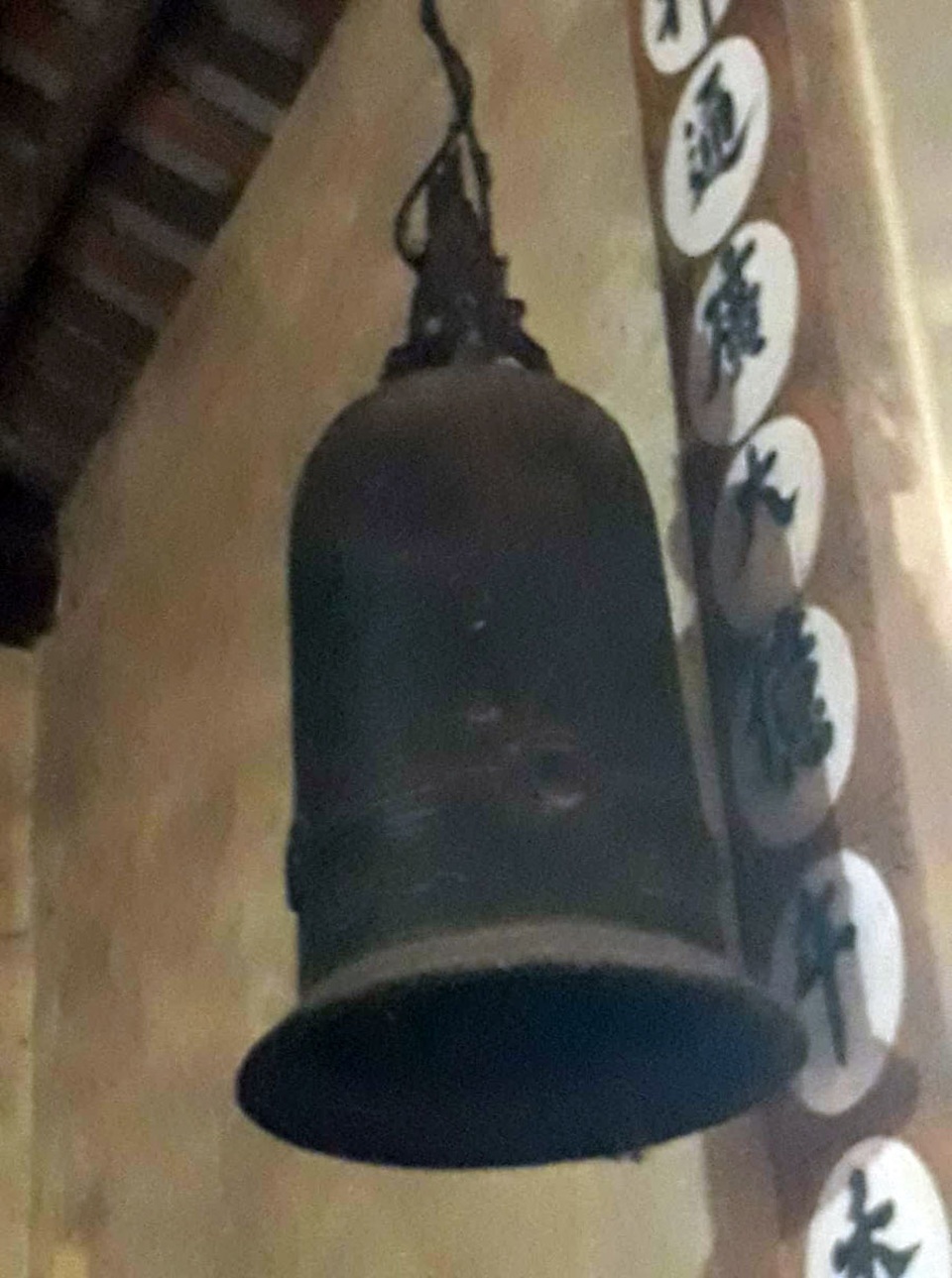 Khách thập phương đổ về chiêm ngưỡng cây đa - gạo kỳ lạ ở Vĩnh Phúc - 4