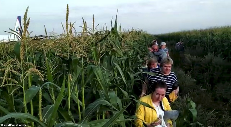 Video chim lao vào động cơ làm máy bay Nga chở 233 người tiếp đất bằng bụng - 5 Video chim lao vào động cơ làm máy bay Nga chở 233 người tiếp đất bằng bụng - 5