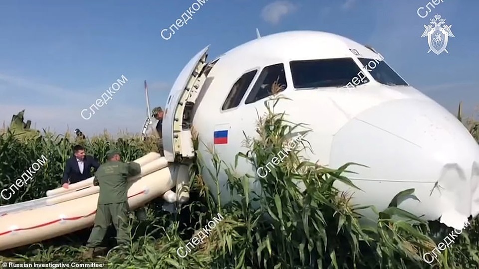 Video chim lao vào động cơ làm máy bay Nga chở 233 người tiếp đất bằng bụng - 6 Video chim lao vào động cơ làm máy bay Nga chở 233 người tiếp đất bằng bụng - 6