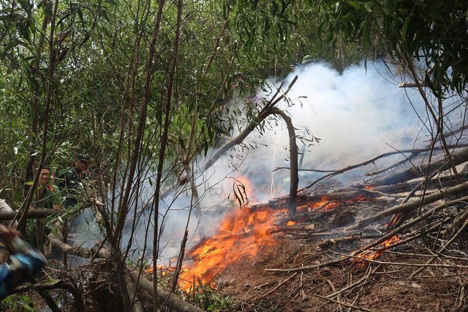 Hơn 6 giờ chiến đấu với giặc lửa trên núi Hang - 1