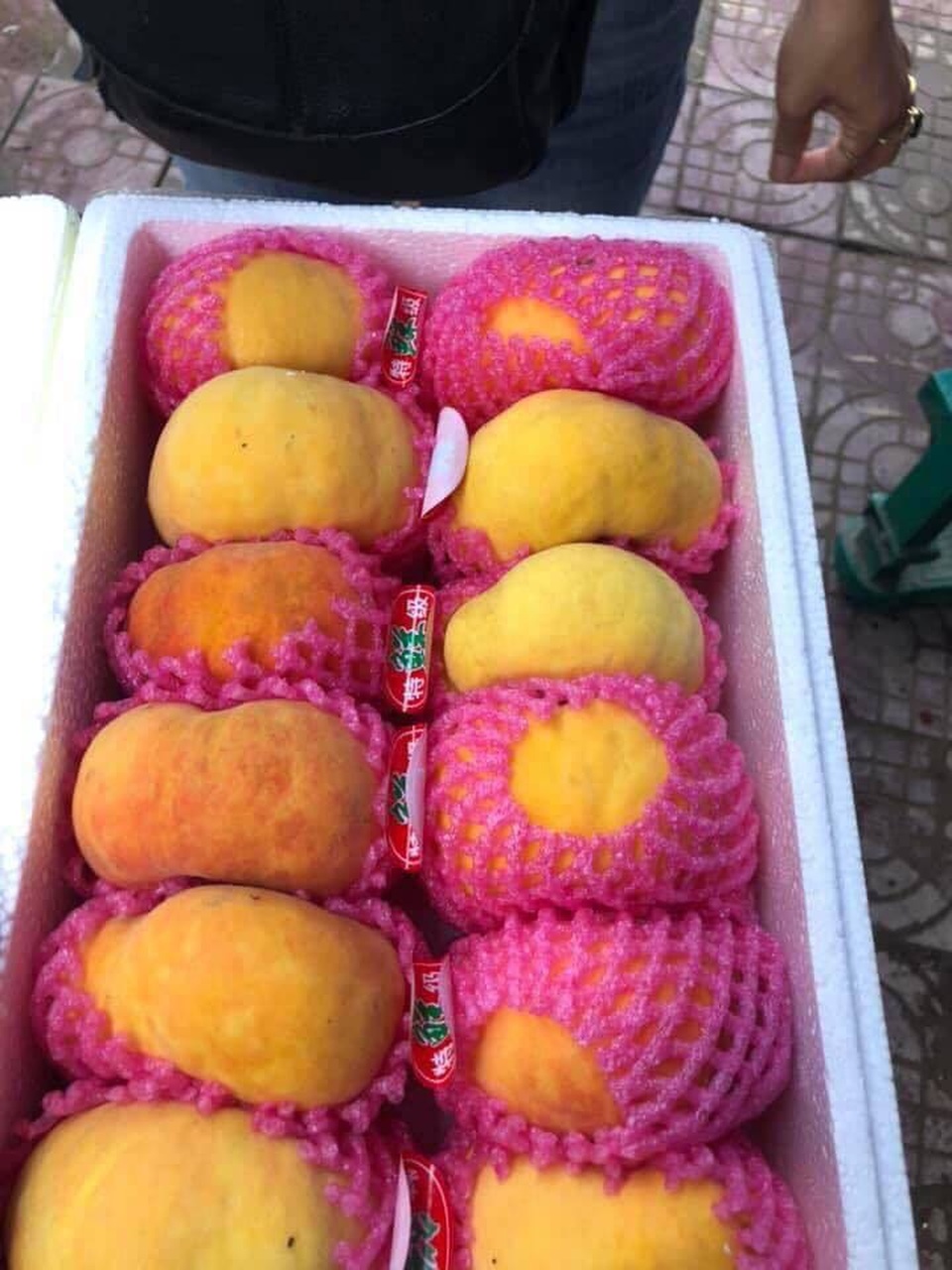 Chơi sang ăn đào Tây Ban Nha, ngã ngửa cú lừa hàng Trung Quốc - 2 Chơi sang ăn đào Tây Ban Nha, ngã ngửa cú lừa hàng Trung Quốc - 2