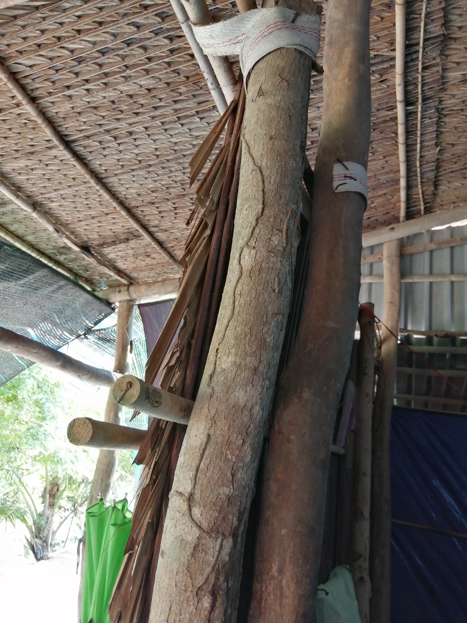 Xót thương cảnh vợ chồng Út Nhớ ôm con thơ trong lều bạt vượt qua cơn bão số 3 - 5 Xót thương cảnh vợ chồng Út Nhớ ôm con thơ trong lều bạt vượt qua cơn bão số 3 - 5