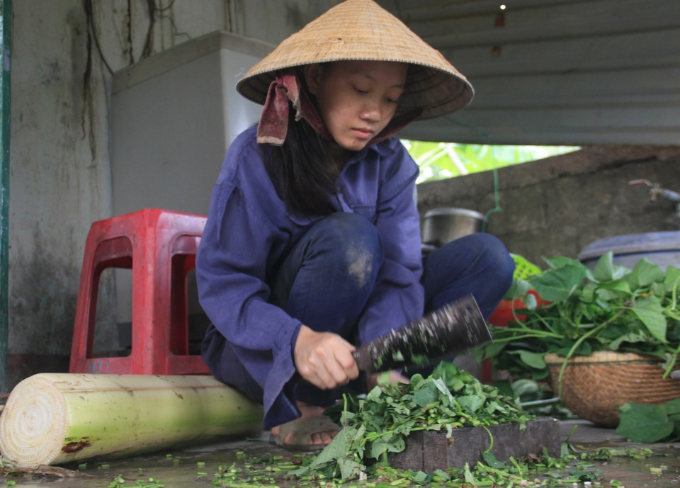Khát khao trở thành cô giáo, nữ sinh nhà nghèo nuôi gà, bán cà phê gom góp tiền công để nhập học - 2 Khát khao trở thành cô giáo, nữ sinh nhà nghèo nuôi gà, bán cà phê gom góp tiền công để nhập học - 2