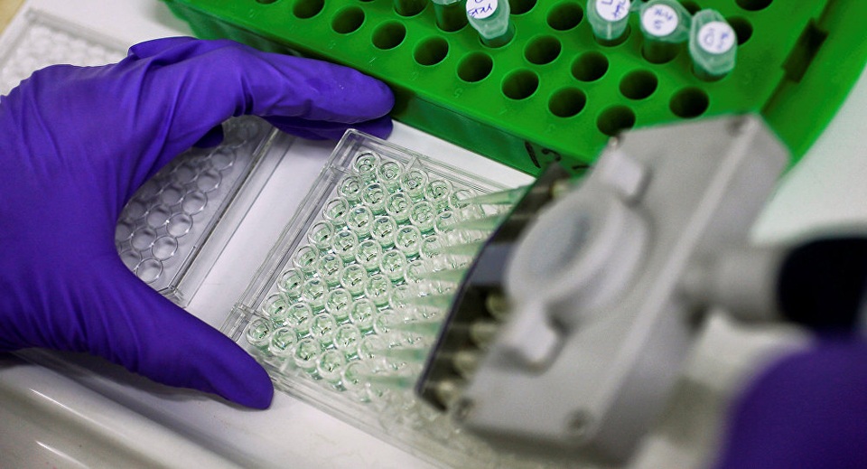 Khám phá thành công bản đồ phân tử gene trong phôi chuột - 1 Khám phá thành công bản đồ phân tử gene trong phôi chuột - 1