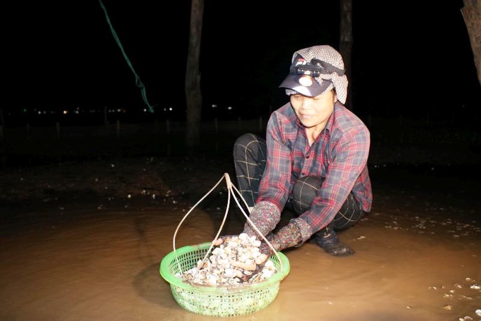 Người nuôi ngao điêu đứng vì ngao chết hàng loạt - 3 Người nuôi ngao điêu đứng vì ngao chết hàng loạt - 3