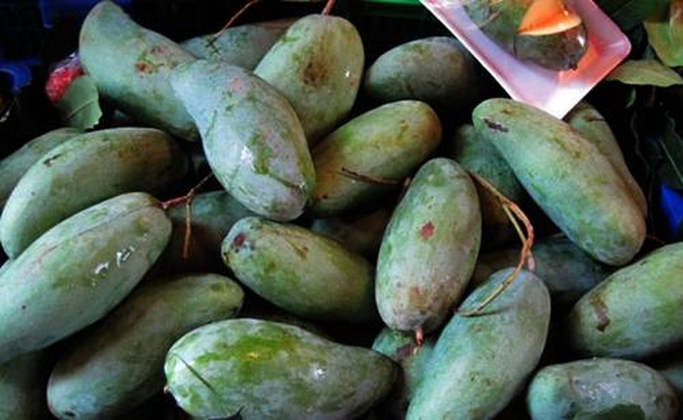 Dự thảo hàng “Made in Vietnam”: Giống xoài Thái Lan nhưng trồng ở Việt Nam, gọi thế nào? - 1 Dự thảo hàng “Made in Vietnam”: Giống xoài Thái Lan nhưng trồng ở Việt Nam, gọi thế nào? - 1
