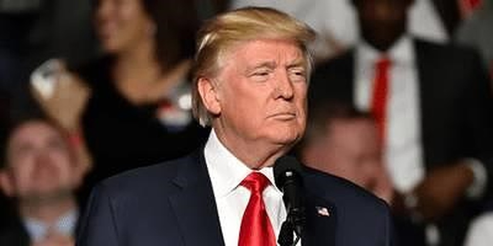 Ông Trump muốn mua đảo lớn nhất thế giới Greenland - 1 Ông Trump muốn mua đảo lớn nhất thế giới Greenland - 1
