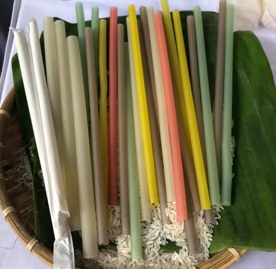Bộ Y tế: Giảm thiểu chất thải nhựa sẽ là tiêu chí chấm điểm các bệnh viện - 3 Bộ Y tế: Giảm thiểu chất thải nhựa sẽ là tiêu chí chấm điểm các bệnh viện - 3