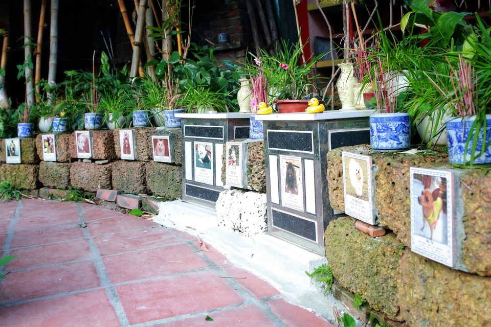 Người Hà Nội đi tảo mộ thú cưng, khóc nức nở trước di ảnh vật nuôi - 2 Người Hà Nội đi tảo mộ thú cưng, khóc nức nở trước di ảnh vật nuôi - 2