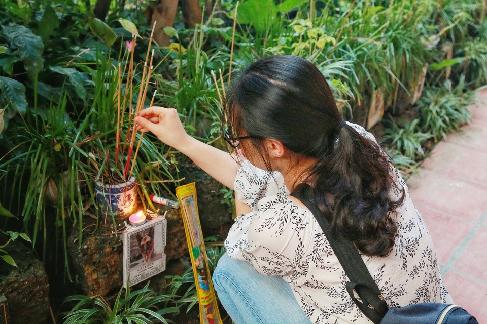 Người Hà Nội đi tảo mộ thú cưng, khóc nức nở trước di ảnh vật nuôi - 7 Người Hà Nội đi tảo mộ thú cưng, khóc nức nở trước di ảnh vật nuôi - 7