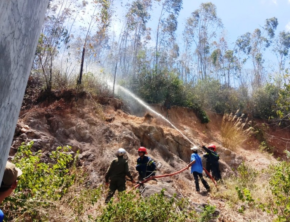 Cháy 3ha rừng trồng, uy hiếp nhiều nhà dân - 5