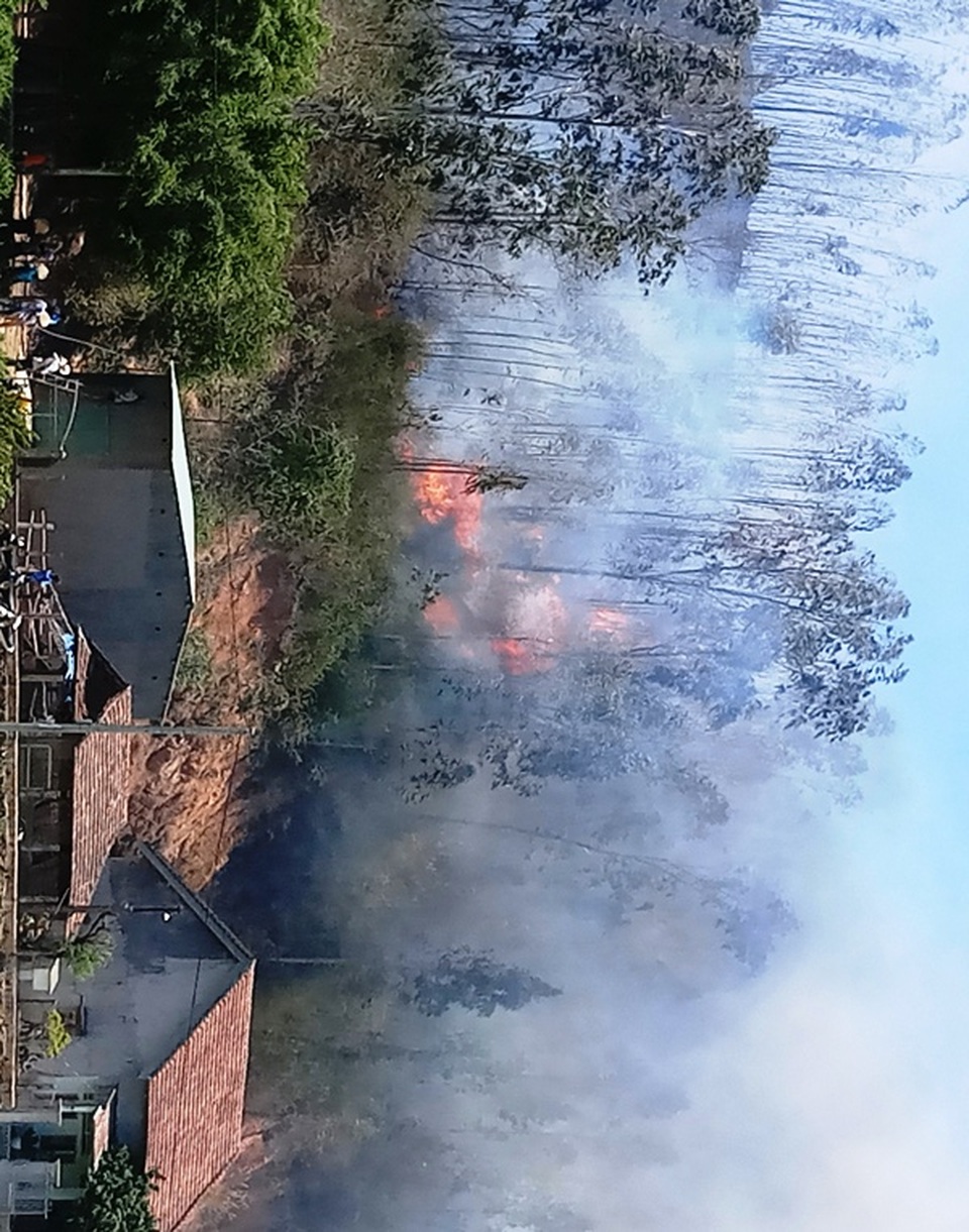 Cháy 3ha rừng trồng, uy hiếp nhiều nhà dân - 2