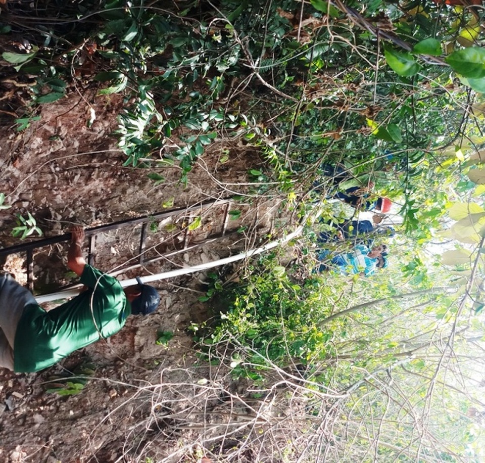 Cháy 3ha rừng trồng, uy hiếp nhiều nhà dân - 3