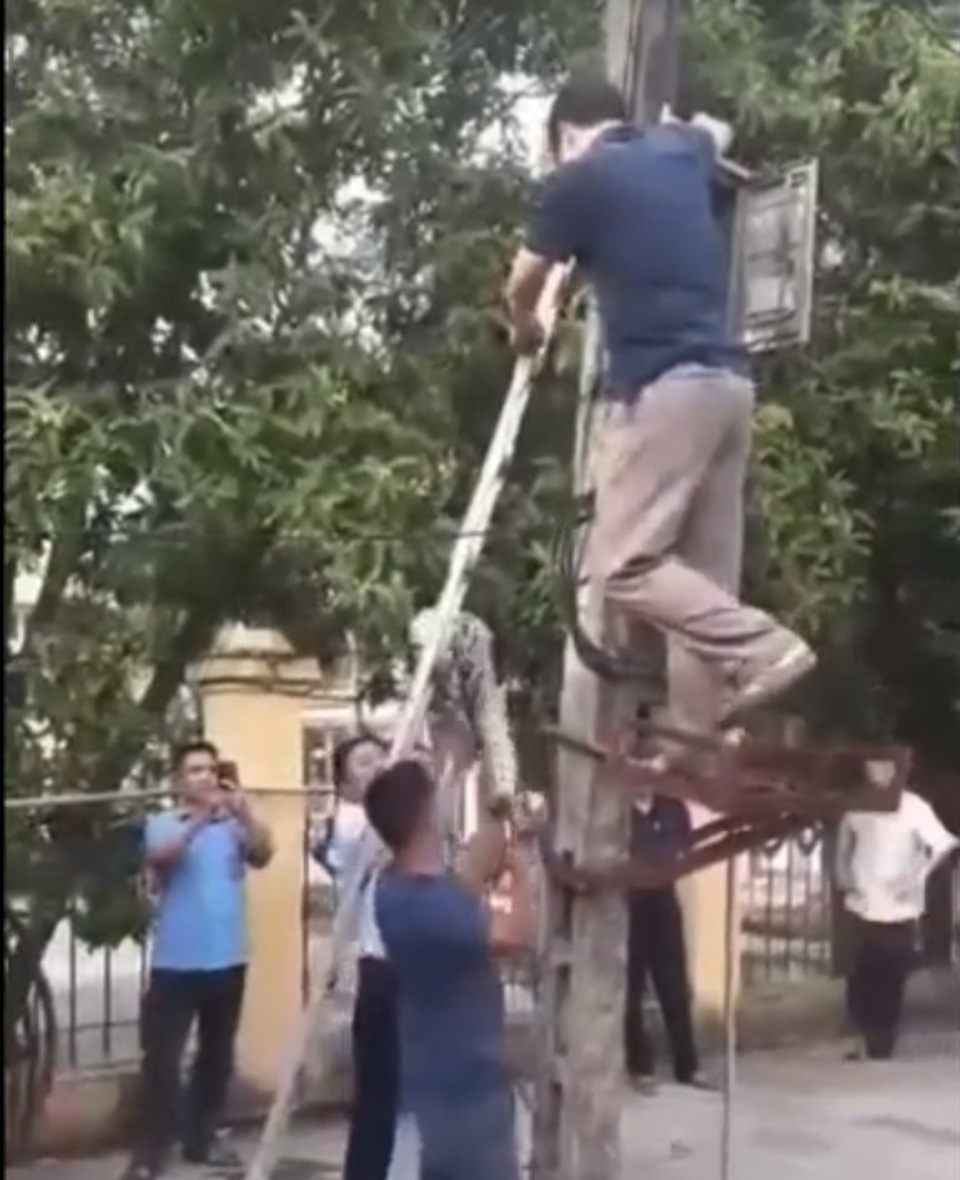 Trăn khủng vắt vẻo trên cột điện ở Phú Thọ đã bị người dân làm thịt - 2 Trăn khủng vắt vẻo trên cột điện ở Phú Thọ đã bị người dân làm thịt - 2