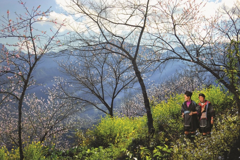 Du lịch Sa Pa vươn tới top đầu miền Bắc - 3