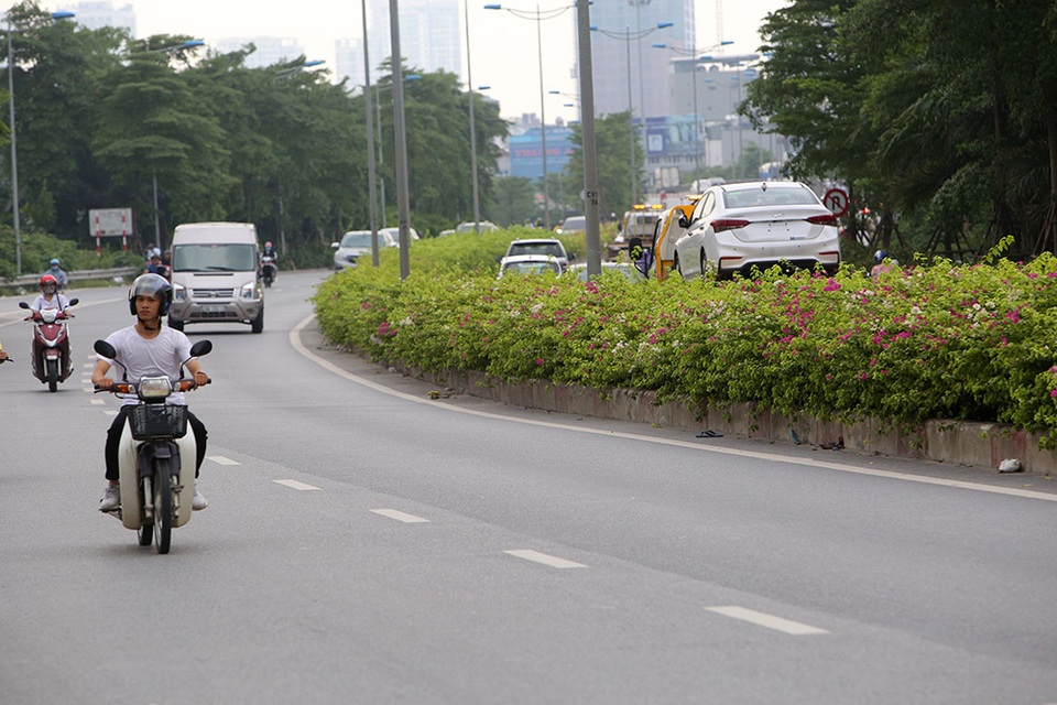 Con đường hoa giấy hiếm có ở Hà Nội - 13