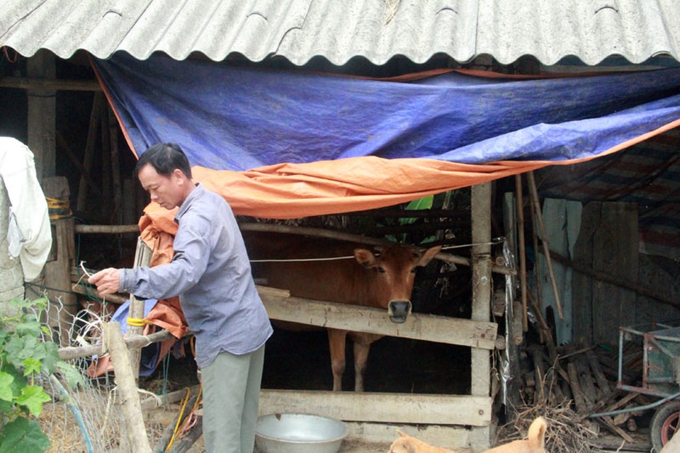 Nghẹn ngào cảnh vợ chồng vét đến hạt thóc cuối cùng đem đi bán cứu con trai không hậu môn - 9 Nghẹn ngào cảnh vợ chồng vét đến hạt thóc cuối cùng đem đi bán cứu con trai không hậu môn - 9