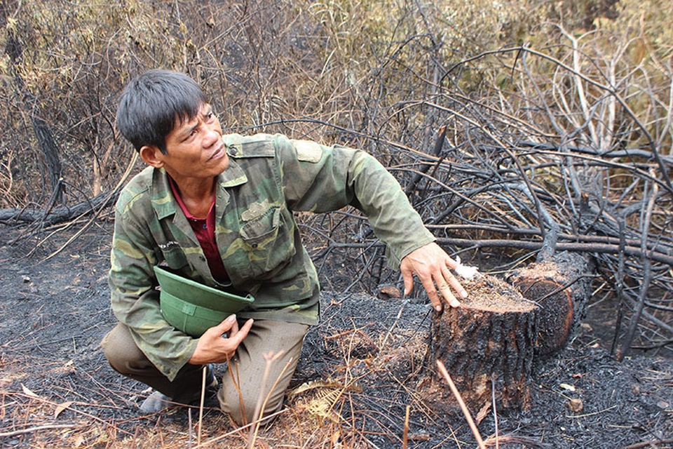 Người đàn ông đặc biệt cứu rừng ở Hà Tĩnh được Chủ tịch tỉnh tặng bằng khen - 1 Người đàn ông đặc biệt cứu rừng ở Hà Tĩnh được Chủ tịch tỉnh tặng bằng khen - 1