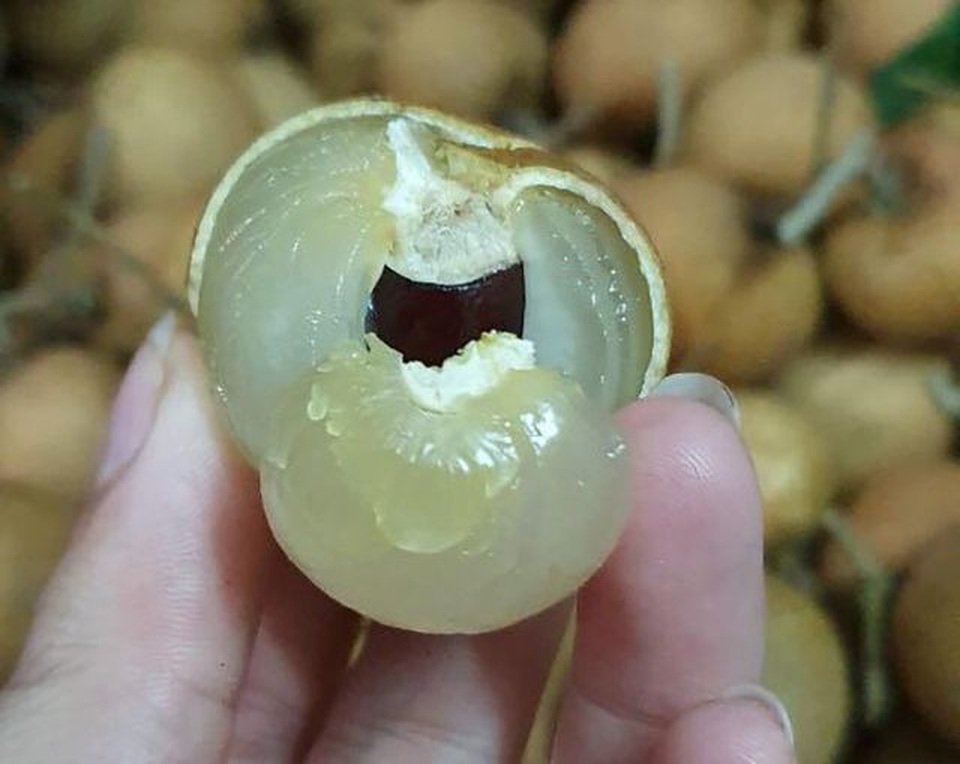 Bánh trung thu trứng chảy khiến dân mạng “chết thèm” liên tiếp bị bắt giữ vì nhập lậu - 3 Bánh trung thu trứng chảy khiến dân mạng “chết thèm” liên tiếp bị bắt giữ vì nhập lậu - 3
