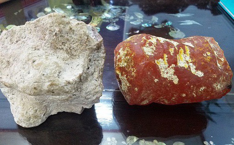 Nhặt được khối đá xù xì dạt bờ biển, ngư dân trúng lớn 12 tỷ đồng - 6 Nhặt được khối đá xù xì dạt bờ biển, ngư dân trúng lớn 12 tỷ đồng - 6