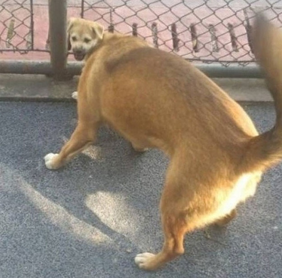 Phì cười những góc chụp “khó đỡ” khiến bạn dễ nhầm lẫn - 2