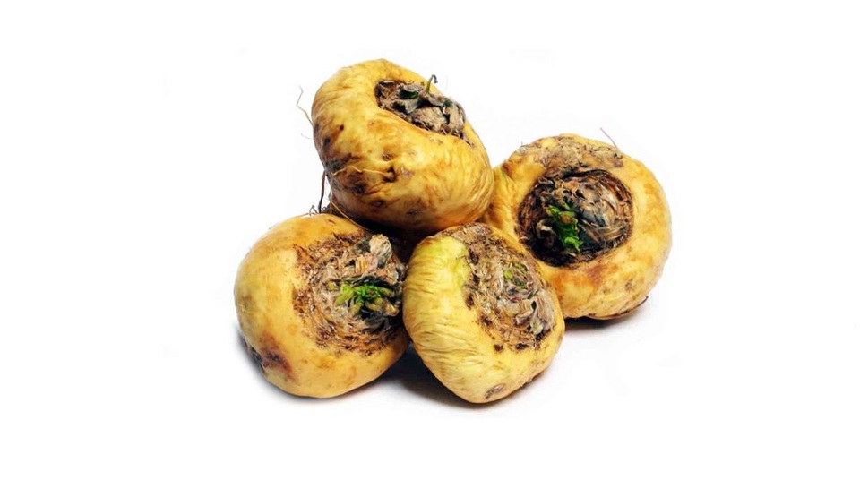 “Thảo dược” Maca – hỗ trợ tăng cường chất lượng tinh trùng - 1 “Thảo dược” Maca – hỗ trợ tăng cường chất lượng tinh trùng - 1