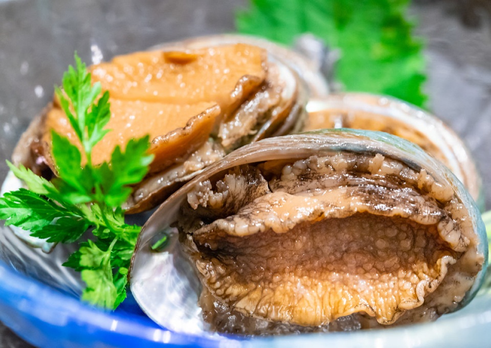 Vì sao món bào ngư chỉ dành cho nhà giàu? - 1 Vì sao món bào ngư chỉ dành cho nhà giàu? - 1
