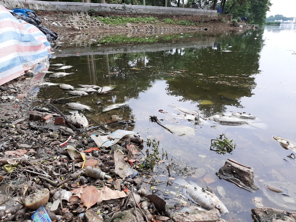 Ca chet o ho truc bach ha noi Ca chet o ho truc bach ha noi
