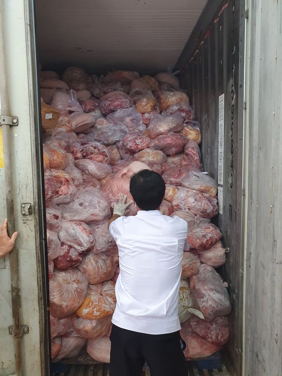 40 tấn thịt đông lạnh hôi thối suýt bị làm giò chả nhiễm dịch tả lợn châu Phi - 2 40 tấn thịt đông lạnh hôi thối suýt bị làm giò chả nhiễm dịch tả lợn châu Phi - 2