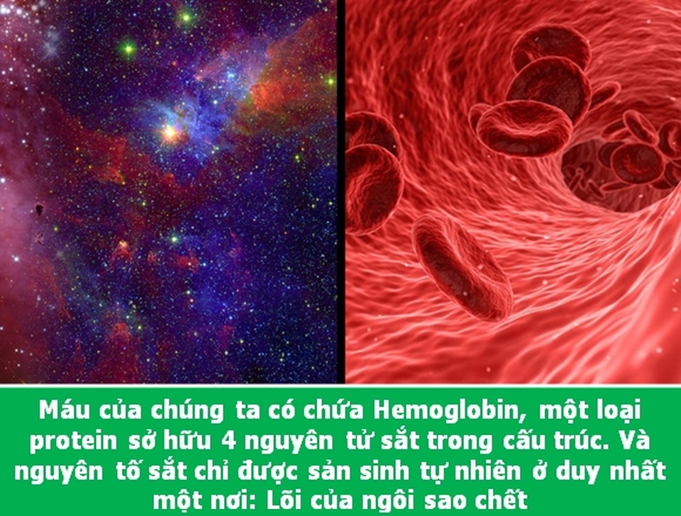 Đi từ ngạc nhiên này đến ngạc nhiên khác với những điều lý thú về vạn vật - 1 Đi từ ngạc nhiên này đến ngạc nhiên khác với những điều lý thú về vạn vật - 1
