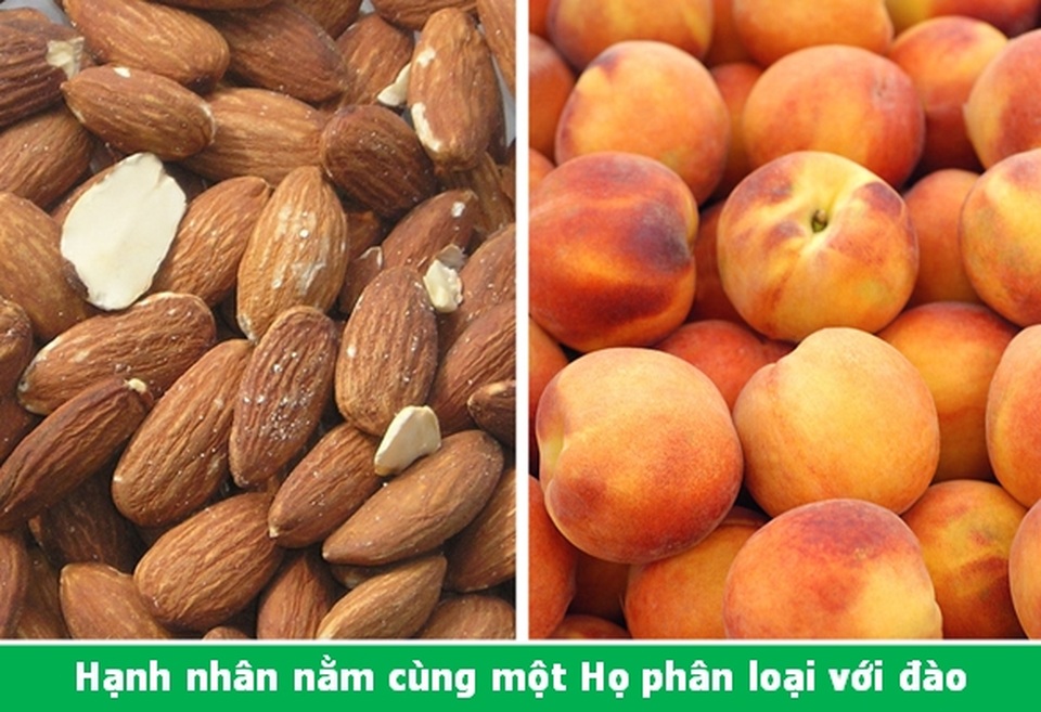 Đi từ ngạc nhiên này đến ngạc nhiên khác với những điều lý thú về vạn vật - 4 Đi từ ngạc nhiên này đến ngạc nhiên khác với những điều lý thú về vạn vật - 4