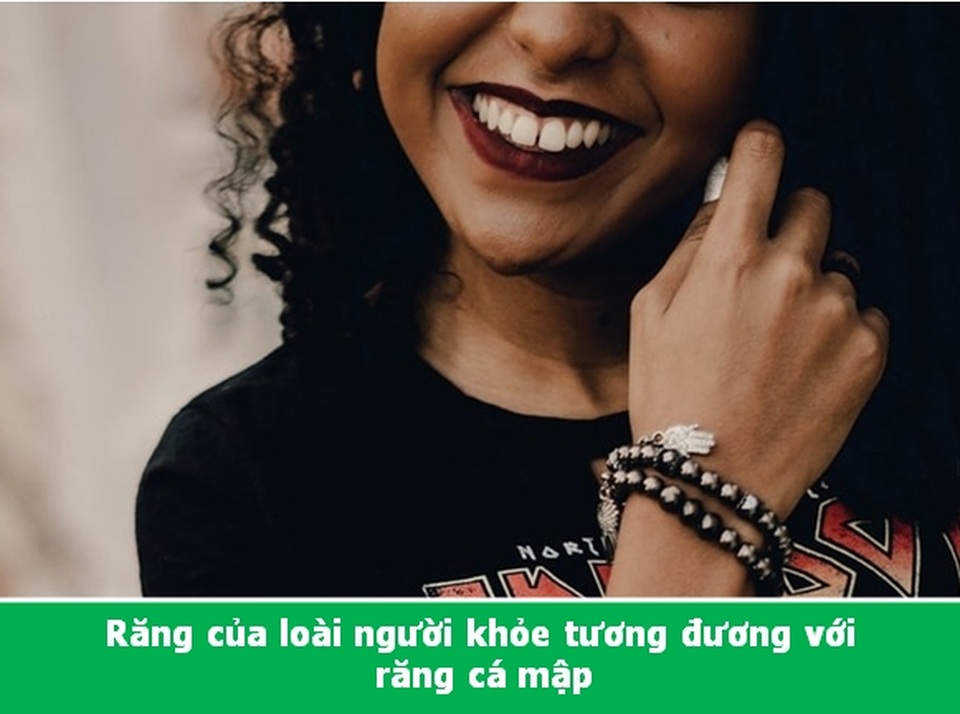 Đi từ ngạc nhiên này đến ngạc nhiên khác với những điều lý thú về vạn vật - 5 Đi từ ngạc nhiên này đến ngạc nhiên khác với những điều lý thú về vạn vật - 5