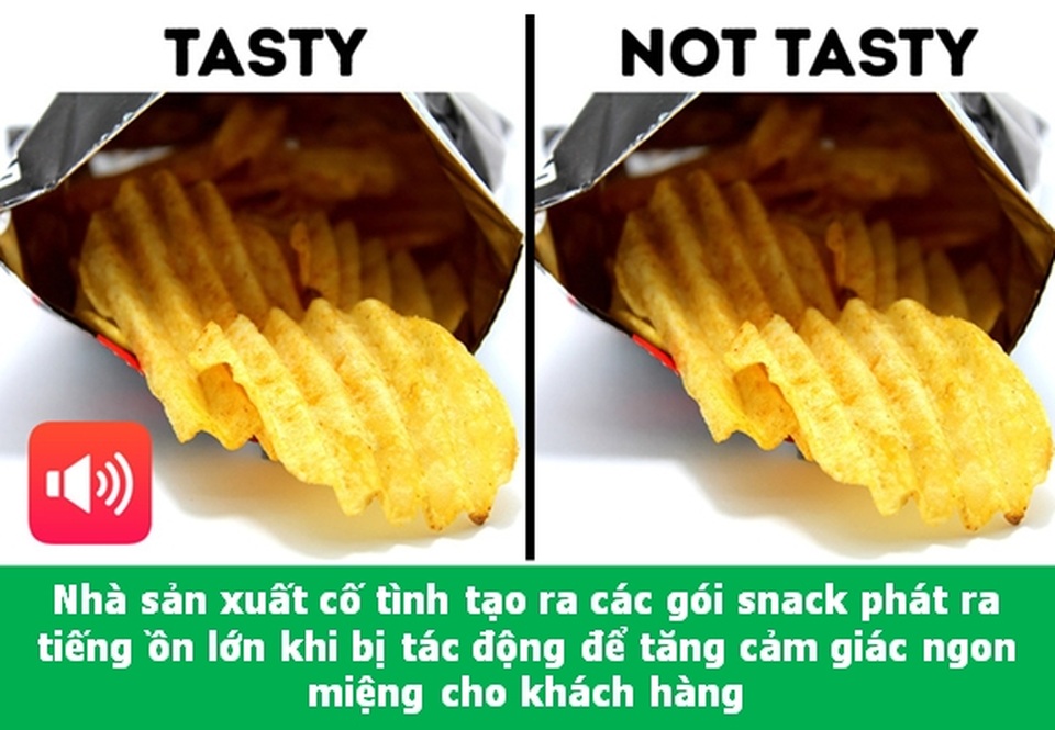 Đi từ ngạc nhiên này đến ngạc nhiên khác với những điều lý thú về vạn vật - 9 Đi từ ngạc nhiên này đến ngạc nhiên khác với những điều lý thú về vạn vật - 9