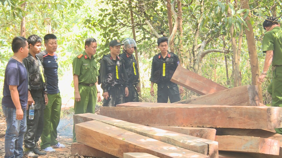 Mật phục 5 tháng, công an mới bắt quả tang được nhóm lâm tặc - 2 Mật phục 5 tháng, công an mới bắt quả tang được nhóm lâm tặc - 2