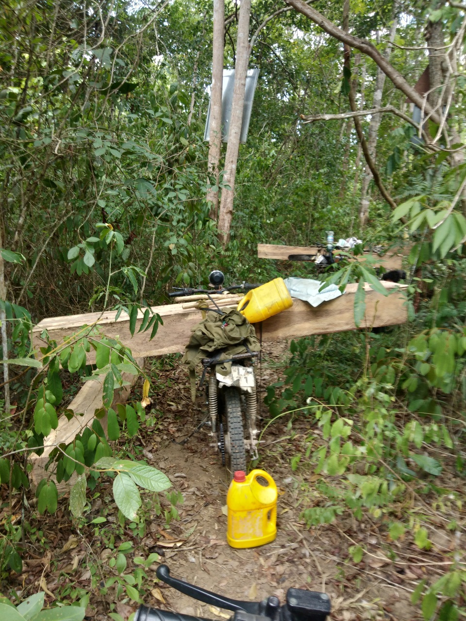 Tiếng thét đau đớn của rừng xanh Tây Nguyên và những thước hình gây sốc! - 6 Tiếng thét đau đớn của rừng xanh Tây Nguyên và những thước hình gây sốc! - 6