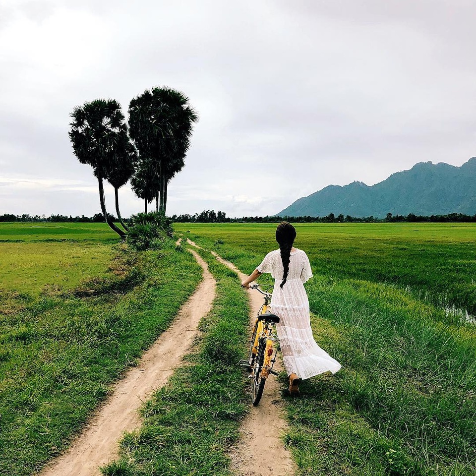 Điểm mặt những cây “sống ảo”, dân phượt thường xuyên check-in - 7 Điểm mặt những cây “sống ảo”, dân phượt thường xuyên check-in - 7