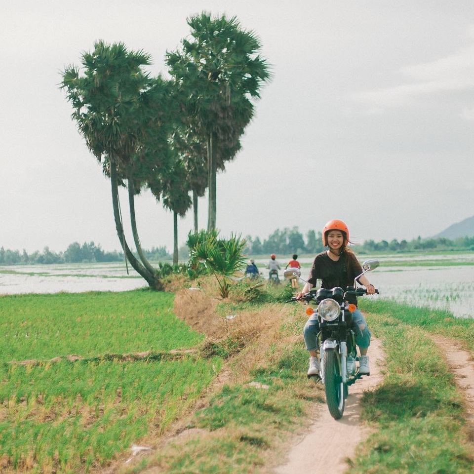 Điểm mặt những cây “sống ảo”, dân phượt thường xuyên check-in - 6 Điểm mặt những cây “sống ảo”, dân phượt thường xuyên check-in - 6