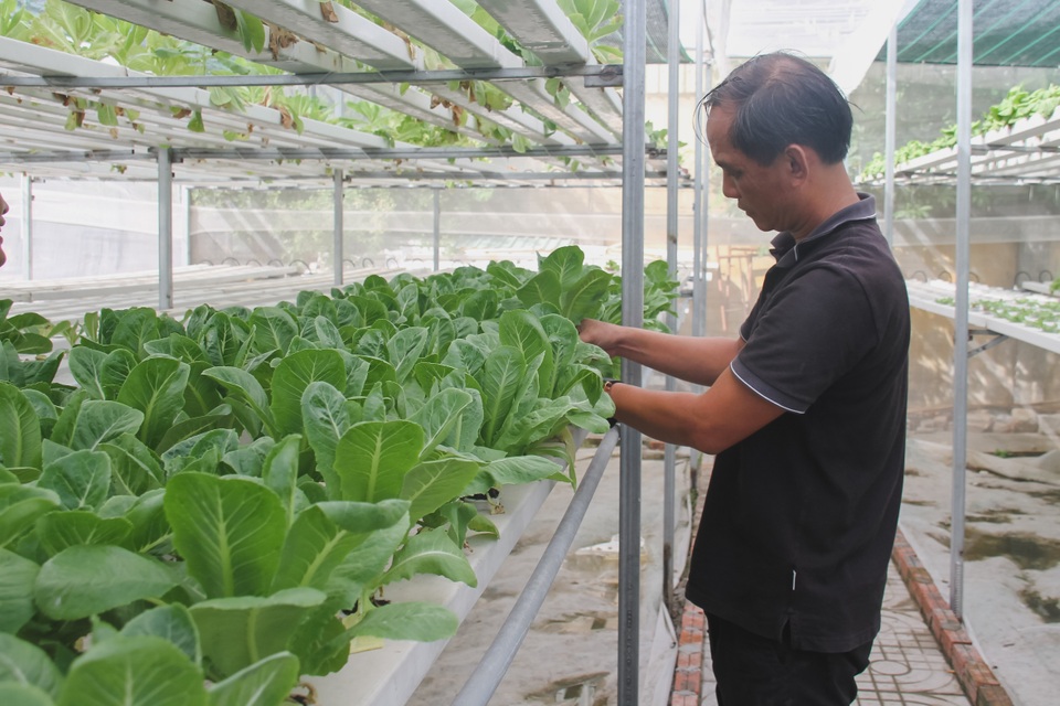 Hành trình biến những bãi rác thành vườn rau sạch của anh chàng kỹ sư xây dựng - 2 Hành trình biến những bãi rác thành vườn rau sạch của anh chàng kỹ sư xây dựng - 2