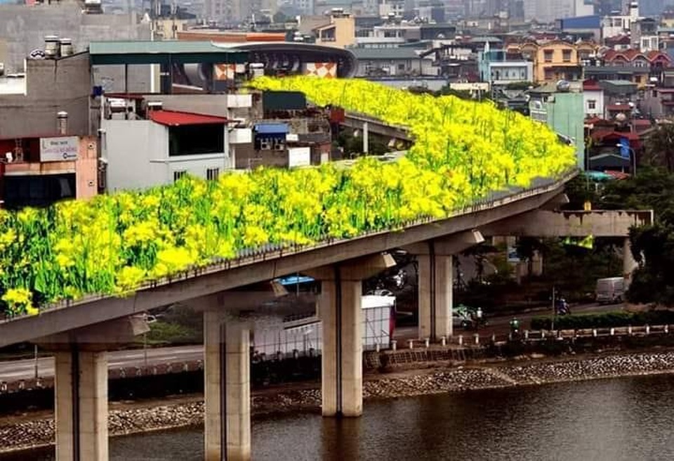 Bất ngờ hình ảnh chế đường sắt trên cao Cát Linh - Hà Đông thành con đường hoa cải - 1 Bất ngờ hình ảnh chế đường sắt trên cao Cát Linh - Hà Đông thành con đường hoa cải - 1