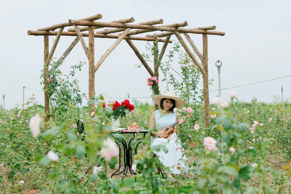 Nữ giám đốc đam mê hoa hồng, sở hữu trang trại hoa hồng đẹp như cổ tích hơn 30.000m2 - 5 Nữ giám đốc đam mê hoa hồng, sở hữu trang trại hoa hồng đẹp như cổ tích hơn 30.000m2 - 5